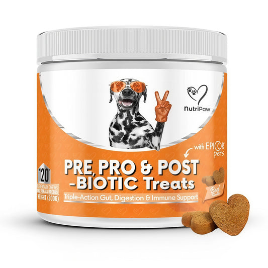 NutriPaw PRE PRO& POST-BIOTIC Treats 120 tasty chews